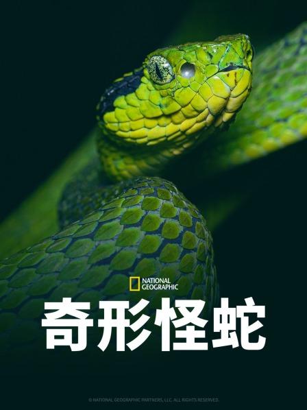 91果冻视频《奇形怪蛇》免费在线观看